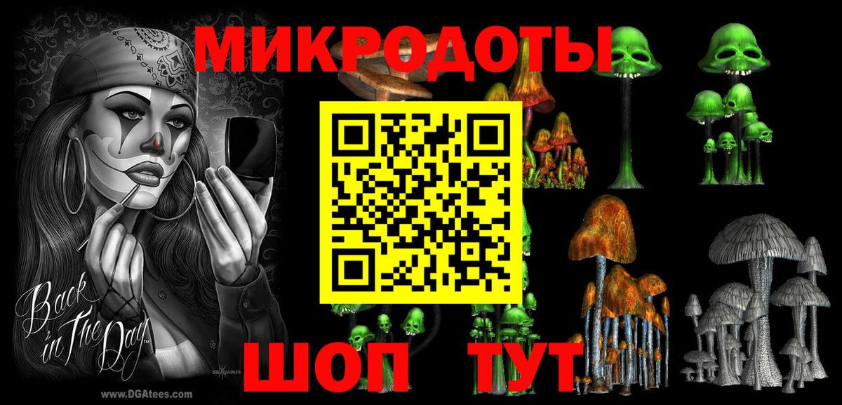 Псилоцибиновые грибы Psilocybe Сургут