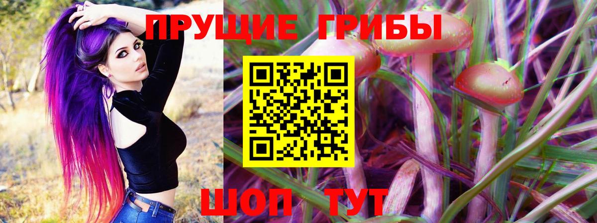 Псилоцибиновые грибы GOLDEN TEACHER  Вход с VPN  Сургут  Галлюциногенные грибы мицелий 